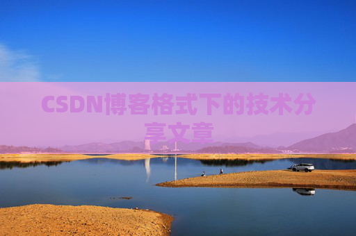 CSDN博客格式下的技术分享文章